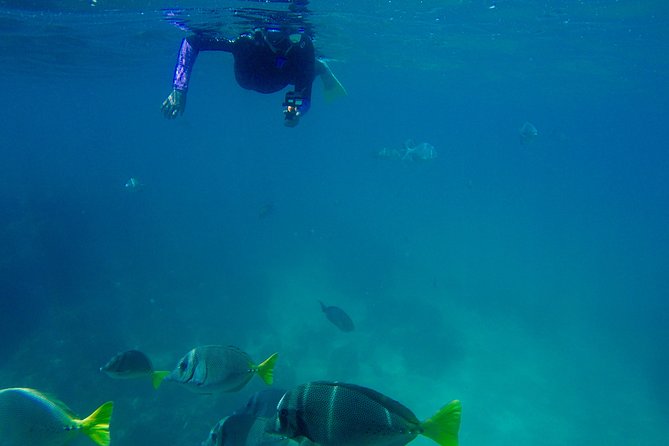 Snorkel Adventure and Hike to a Hidden Beach - Guides who focus on safety and the sea