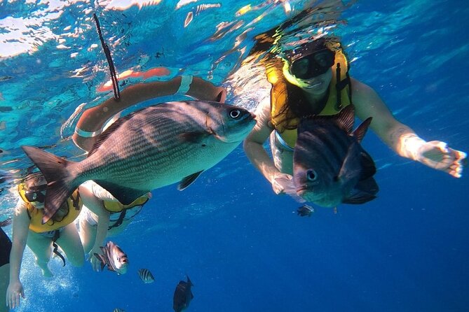 Snorkel along the coast, explore two reefs by Chivis del Mar - Getting to Marina Caleta without losing your tour