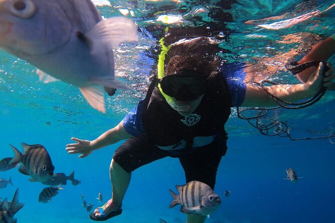 Snorkel along the coast, explore two reefs by Chivis del Mar - The cancellation rule deserves careful attention