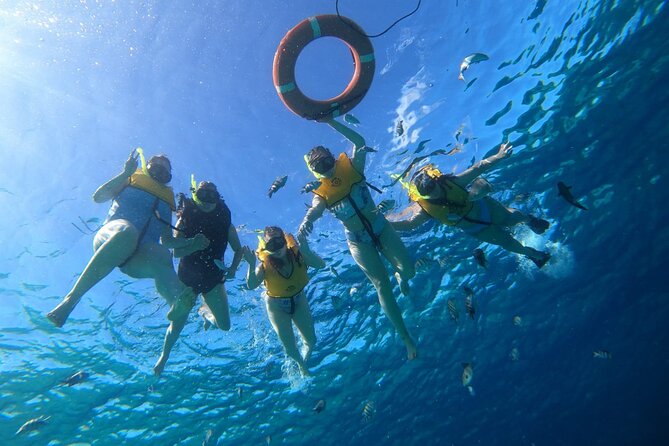 Snorkel along the coast, explore two reefs by Chivis del Mar - Paradise Reef brings the first look below the surface