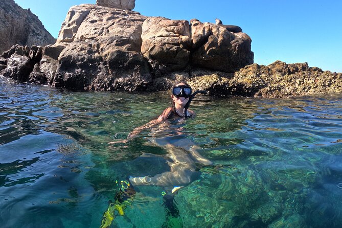 Snorkel and arch tour in los cabos - Pelican Rock Is the Main Event