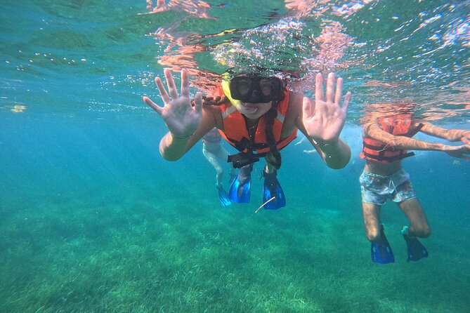 Snorkel at the Reef 2 HOURS Puerto Morelos National park - What you can see beneath the surface