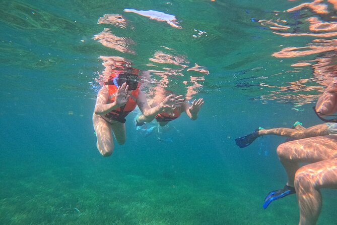 Snorkel at the Reef 2 HOURS Puerto Morelos National park - The guide can shape the whole outing