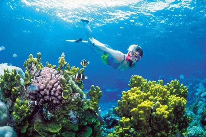 Snorkel, ATV, Zipline and Cenote Adventure from Cancun - From Cancun hotels to the Puerto Morelos reef