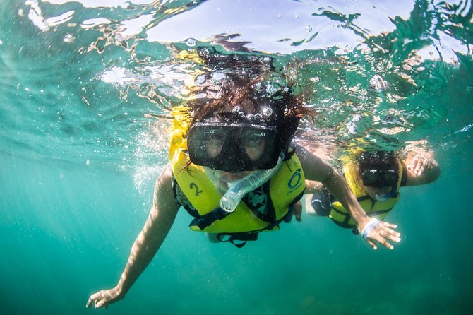 Snorkel, Lunch & Sail in Cabo San Lucas - A taco buffet served on deck