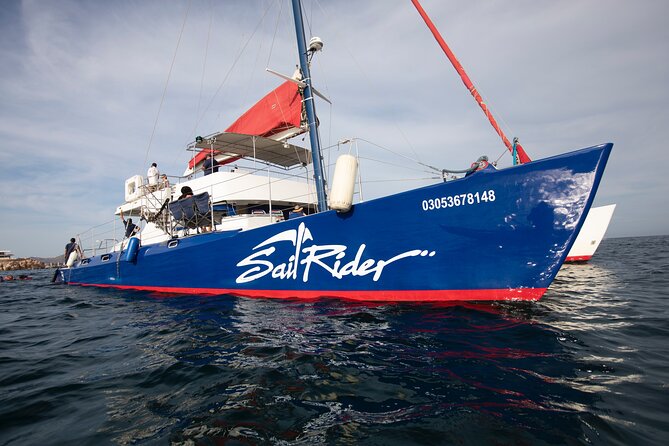 Snorkel, Lunch & Sail in Cabo San Lucas - The Sea of Cortez snorkeling stop