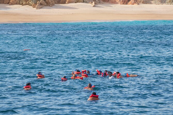 Snorkel & Sunset Sail in Cabo San Lucas - Who should book this Cabo cruise?