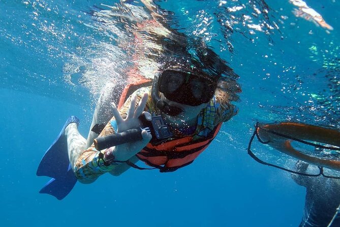 Snorkel Tour at Musa and Manchones Reef - Who will enjoy this most