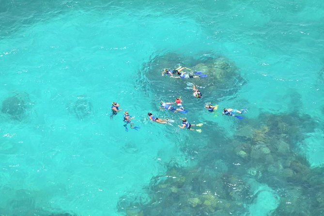 Snorkeling Adventure at Isla Mujeres Includes Lunch and Open Bar - Classic or Platinum: which boat makes sense?