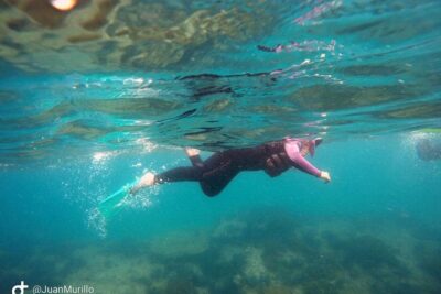 Snorkeling Adventure Cabo Pulmo