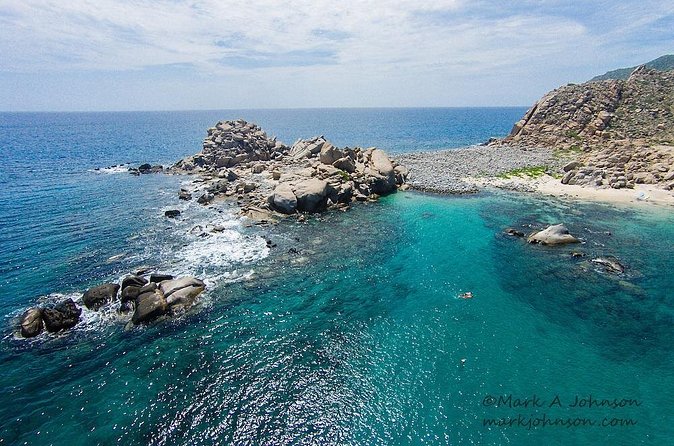 Snorkeling Adventure Cabo Pulmo - Sea life, from reef fish to humpback whales
