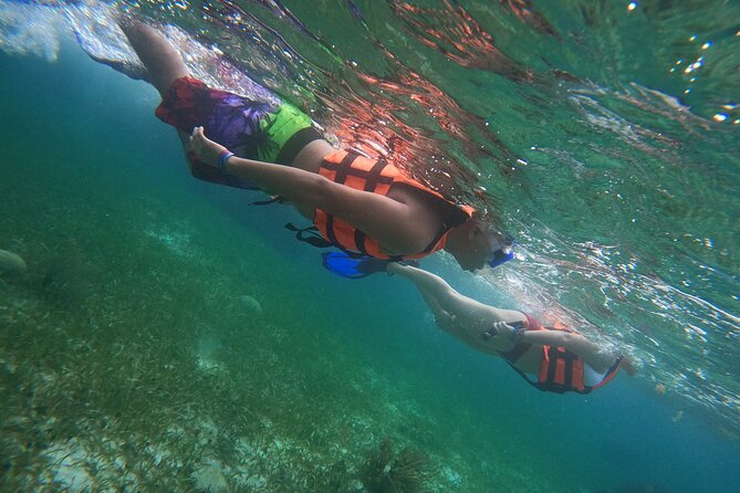Snorkeling Adventure in Puerto Morelos Includes snack, Water and Round Trip. - A short boat ride to the National Reef Park