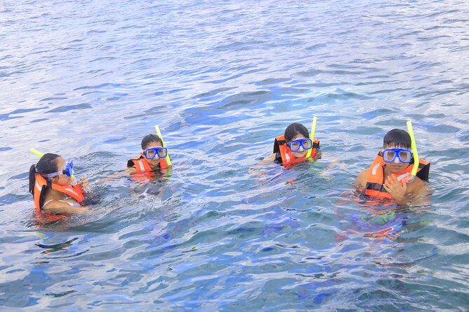 Snorkeling Adventure in Puerto Morelos Includes snack, Water and Round Trip. - Tequila tasting with a sales pitch attached