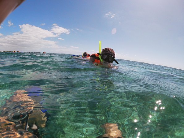 Snorkeling Adventure in Puerto Morelos Includes snack, Water and Round Trip. - Group size, waiting, and the real length of the day