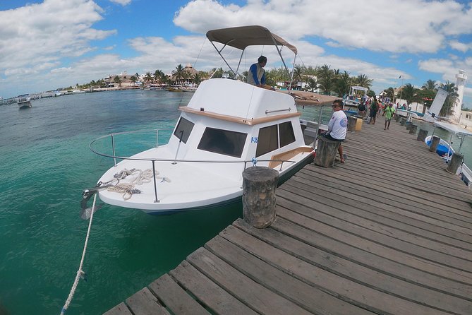 Snorkeling Adventure in Puerto Morelos Includes snack, Water and Round Trip. - What the 45-minute snorkel is really like