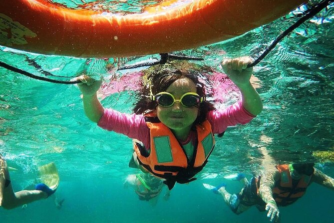 Snorkeling Guided Activity in Puerto Morelos Mexico - Guides who help beginners, and guides who move quickly