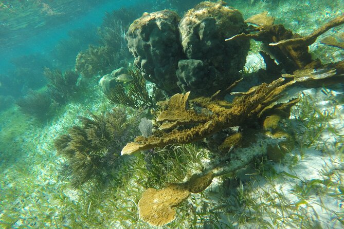 Snorkeling Guided Activity in Puerto Morelos Mexico - Getting to the Faro Inclinado meeting point
