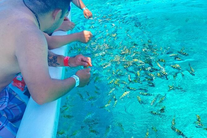Snorkeling in Isla Mujeres and Underwater Museum - Swimming ability and seasickness are real factors