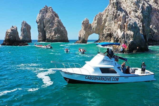 Snorkeling or Swimming with Sharks in Cabo San Lucas - Underwater photos are a useful extra