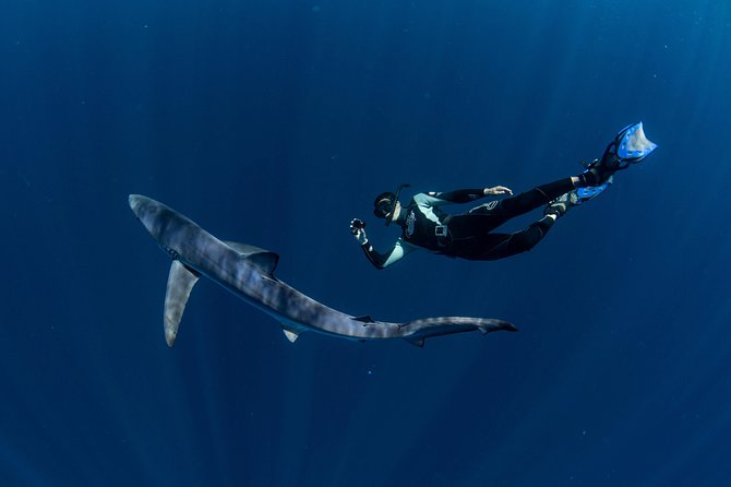 Snorkeling or Swimming with Sharks in Cabo San Lucas - Prepare for a rough boat ride