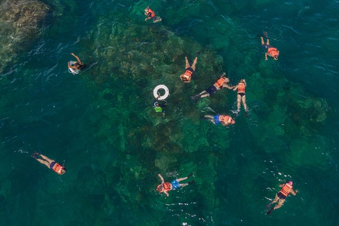Snorkeling tour in Cabo San Lucas - What this Cabo boat trip is really like