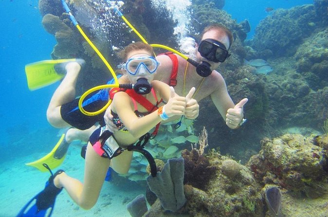 SNUBA Cozumel Underwater Adventure inside Chankanaab National Park - What the $65 price does and does not cover