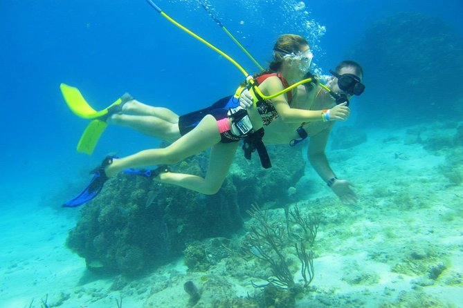 SNUBA Cozumel Underwater Adventure inside Chankanaab National Park - Who will enjoy this most