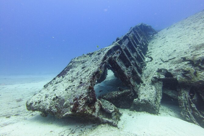 SPECIAL!! 2 Tank Wreck & Drift Reef dives - Why the wreck and reef combination works so well