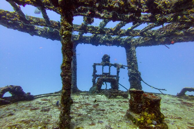 SPECIAL!! 2 Tank Wreck & Drift Reef dives - The drift reef brings the wildlife
