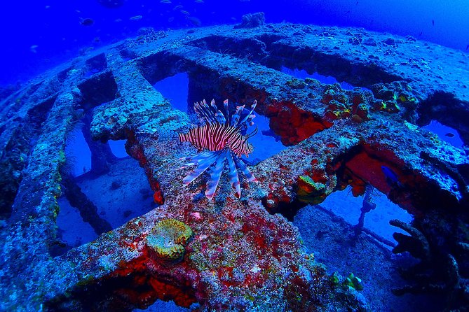 SPECIAL!! 2 Tank Wreck & Drift Reef dives - What the 4.5-hour schedule feels like