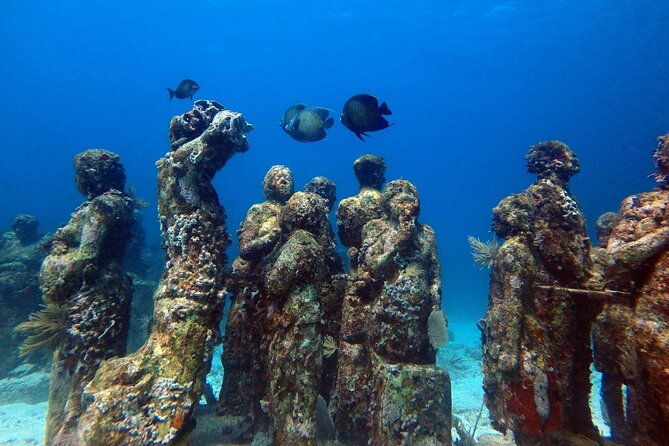 SPECIAL! Snorkel at MUSA - The Underwater Museum Reservation - Crew help and the practical side of the outing