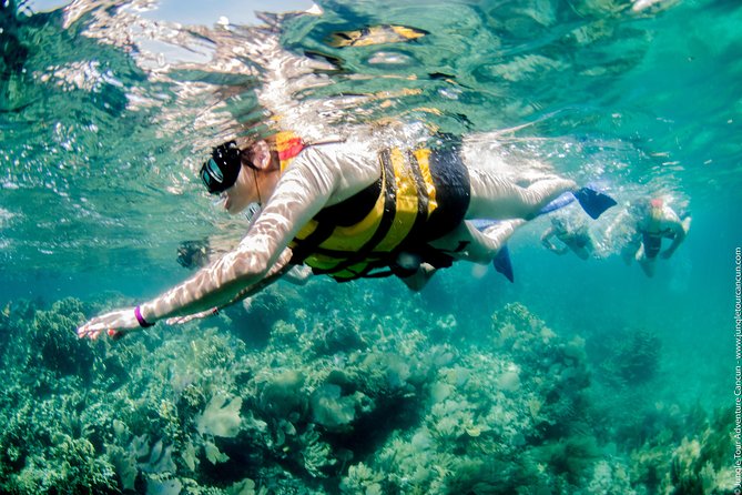 Speedboat and snorkel tour: Single Passenger Boat - Is $110 a fair price?