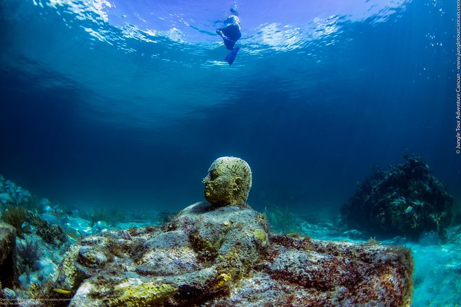 Speedboat and snorkel tour: Single Passenger Boat - Weather, cancellation, and timing