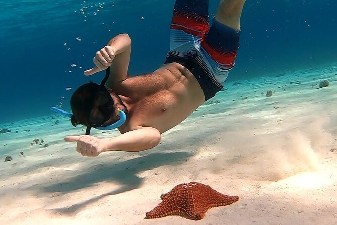Starfish, Stingrays and the Turtle Sanctuary Snorkel Tour - Reef snorkeling at Columbia, Palancar, and nearby sites