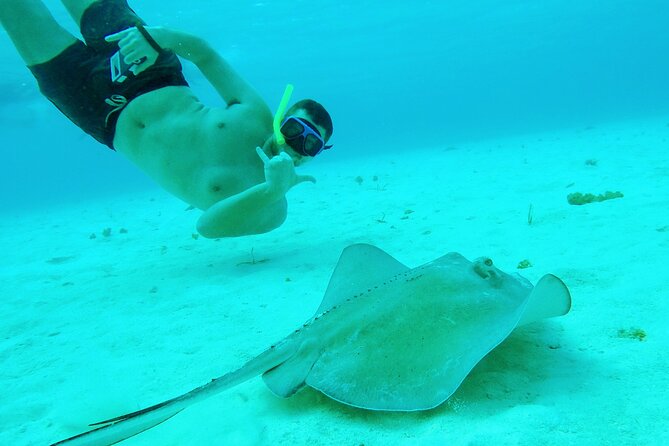 Starfish, Stingrays and the Turtle Sanctuary Snorkel Tour - Gear, comfort, and swimming ability
