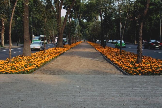 Street Food Tour with Friends - Condesa: parks, architecture, and local suggestions