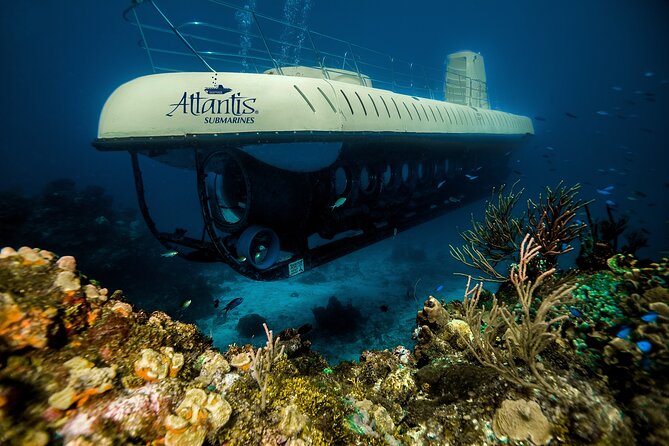 Submarine Atlantis Cozumel Adventure by Day & Sunset - Returning to shore and the small extras