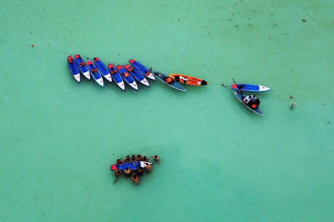 Sunrise by Paddle or Kayak with Floating Picnic - Guide Quality and the Feel of the Group