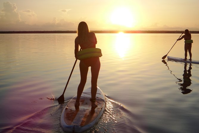 Sunrise Tour (Stand Up Paddle or Kayak) - Cenote Negro adds a different view of the water