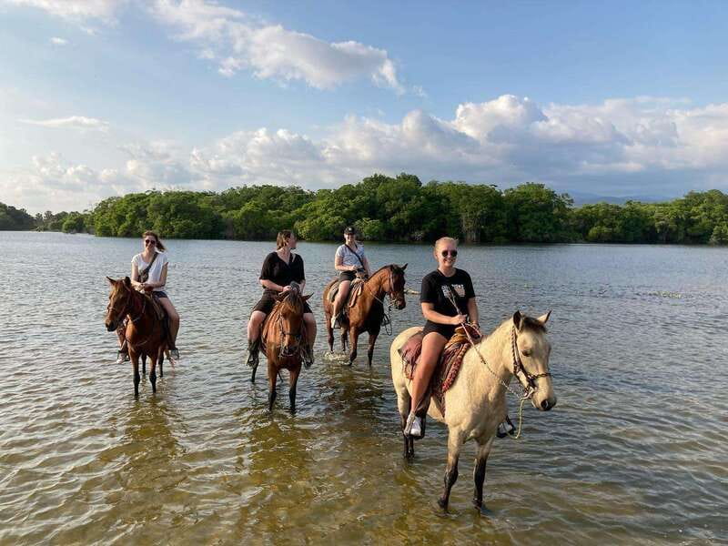 Sunset by Horse on the Beach - Safety, comfort, and the booking warning