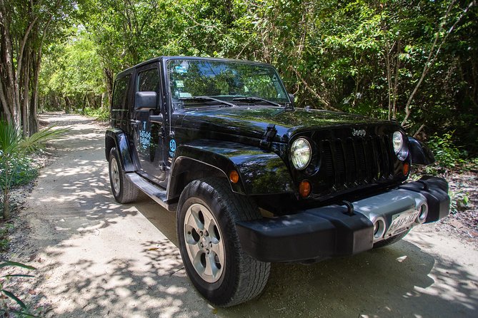 Super Cozumel Combo Snorkel by Boat and Jeep Exploration (Private) - Lunch at Tortugas Beach Club