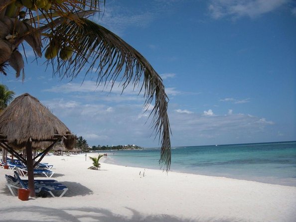 Swim with sea turtles - Key points before you book