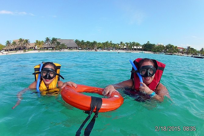 Swim with sea turtles - The wildlife you might see
