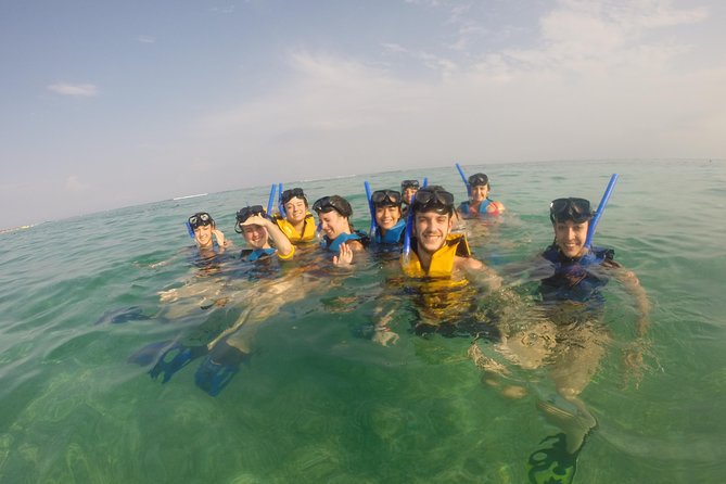Swim with sea turtles - Private guiding makes a real difference