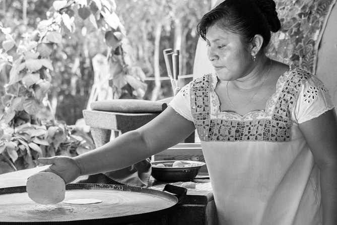 Tasty Mexican Cooking Class with Feast in Riviera Maya - Price, value, and what you receive