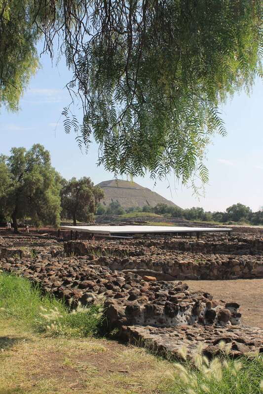 Teotihuacan from Mexico City with early access - What the guide adds to the experience