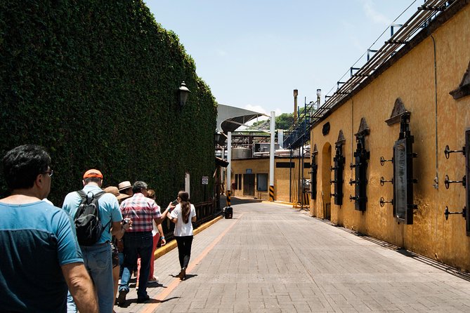Tequila distillery experience, Jose Cuervo & Tequila Magic Town - Free time in Tequila’s main square