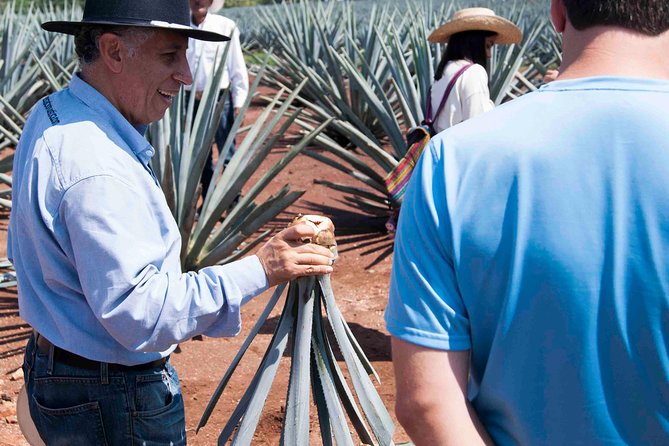 Tequila distillery experience, Jose Cuervo & Tequila Magic Town - How the bilingual format works