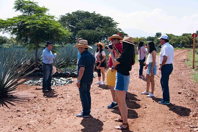 Tequila distillery experience, Jose Cuervo & Tequila Magic Town - Who will enjoy this day trip most?