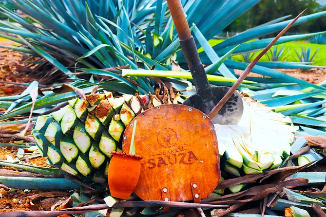 Tequila Express - Key points at a glance
